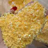 Múltiples Tipos de Lentejuelas, Brillantina de Colores de Forma Irregular, Accesorios Decorativos con Pegamento Multicolores, Polvo de Brillantina Láser de Estrella de Cinco Puntas para Manualidades