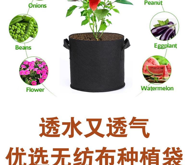 彩色种植袋2_02.jpg