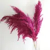 Amazon Ramo de Flores de Caña Nórdica DIY Flor Seca de Yunnan al por Mayor Ramo de Flores Secas Hecho a Mano Flores Conservadas
