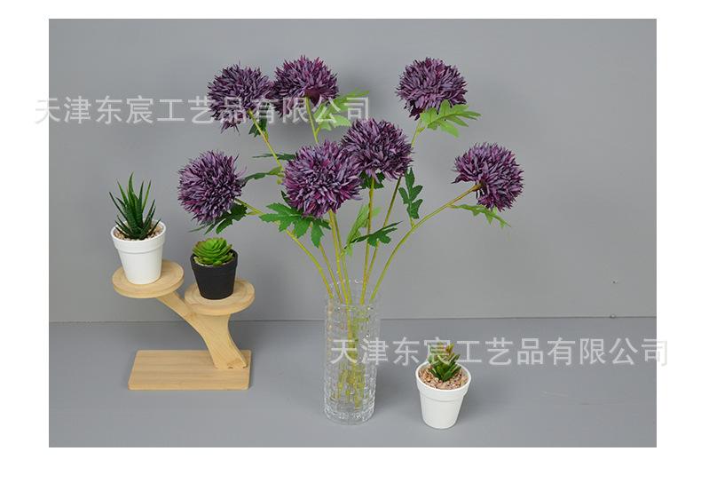 详情_14.jpg