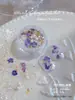 Arte de Uñas Flor Seca Jardín Secreto Polvo Ópalo Ultra Fino Sinfonía Polvo Brocado Polarizado Brillo para Uñas Lentejuela Decoración Wholesale