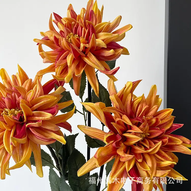 photo-output_2 4.JPG