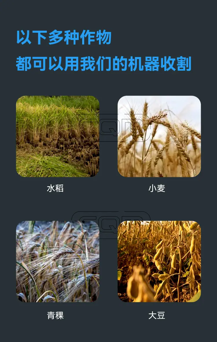 联合收割机_03.jpg