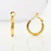 Pendientes de Aro de Metal con Partículas Escarchadas Diseño de Nicho Simples Exquisitos Moda Versátiles Frescos Pendientes de Gama Alta