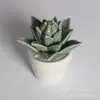 Maceta de flor de cactus de cerámica decoración del hogar planta de simulación cerámica de porcelana artesanías de cerámica decoración creativa exportación