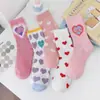 [Especial Transfronteiriço] Novas Meias Longas Femininas Estilo Coreano Primavera/Verão para Uso Externo, Versáteis para Celebridades da Internet, Tendência Street Ins, Estilo Americano