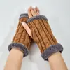 Guantes cálidos de lana tejidos transfronterizos con trenzado, estilo coreano, guantes engrosados para otoño e invierno, nuevo estilo de felpa