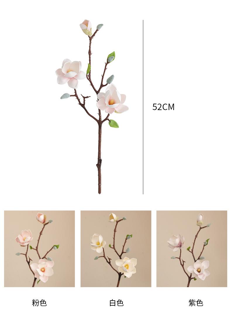 唯爱小玉兰_04.jpg