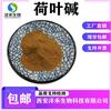 Extracto de hoja de loto Chenghe biológico polvo de hoja de loto 10:1 en stock envío gratis hoja de loto alcalina 2%