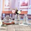 Estoque Disponível de Vasos de Vidro Transparente Embossado e Vasos de Flores em Vários Estilos, Itens de Decoração para Casa, Arranjos de Flores, Flores Frescas, Design Moderno e Simples