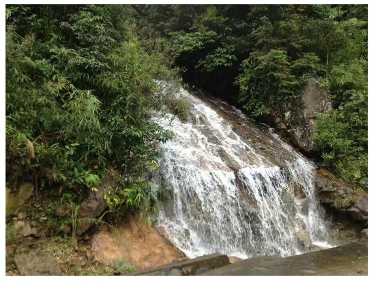 白木耳产品介绍图补充说明2