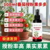 Agente especializado para la polinización y cuajado de frutos de tomate, previene la caída de frutos, promueve la floración, protege los frutos, aumenta el crecimiento y el rendimiento, fertilizante al por mayor para tomates y tomates cherry