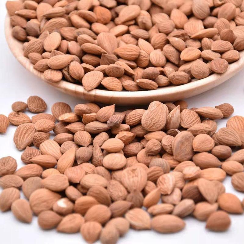 微信图片_20210217164725