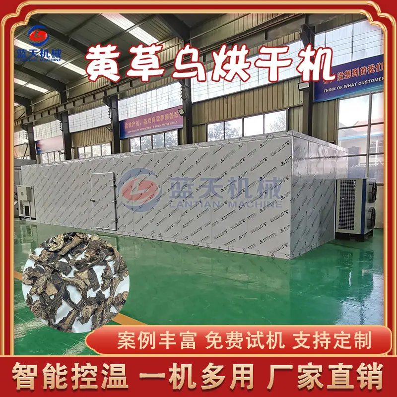 黄草乌阿里.jpg