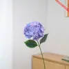 Hortênsia pequena de haste única com pétalas duplas e textura realista, visualmente realista, torna uma decoração de vaso de casa marcante e chamativa