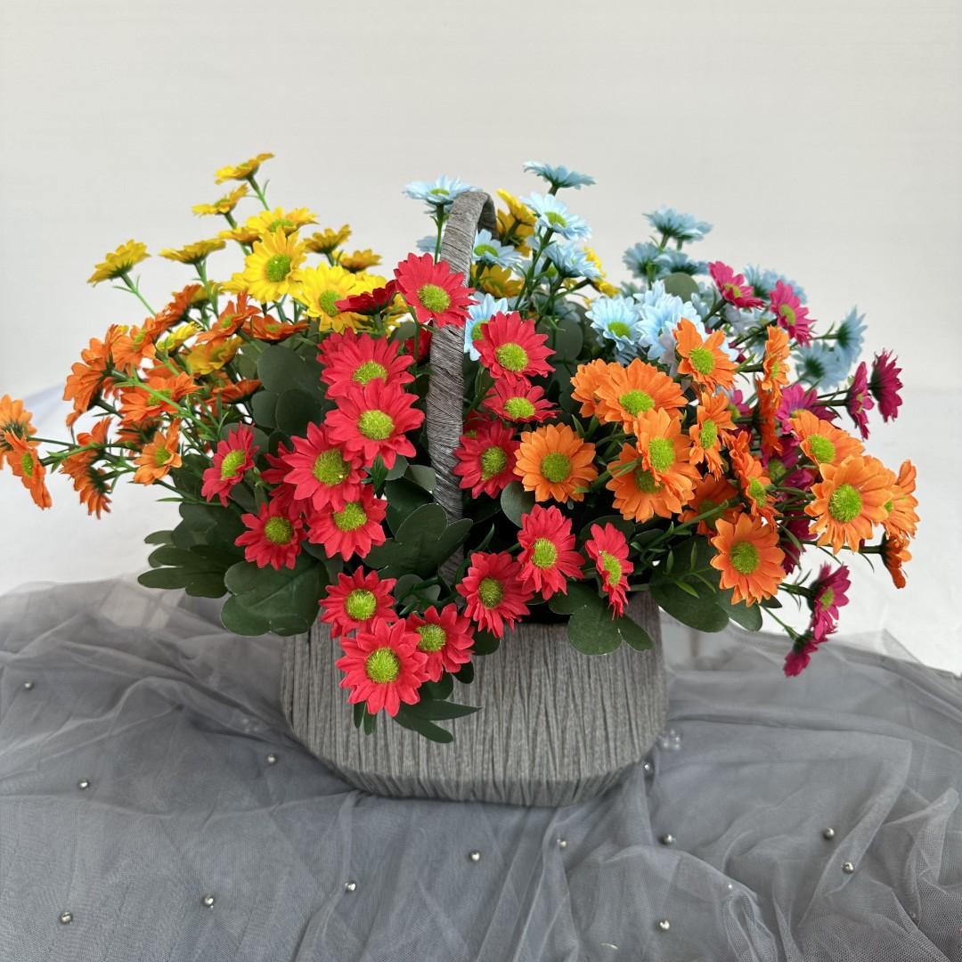 邹菊把1