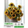 Flores Que Florescem por Muito Tempo e São Fáceis de Cultivar, Lírios, Sino dos Ventos, Flores de Corte Frescas, Plantas Hidropônicas de Cabelo Reto de Yunnan, Rosas, Arranjos de Flores de Interior
