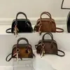 Bolsa de Mão Pequena Texturizada Moda Retrô para Mulheres, Nova Bolsa de Ombro Versátil para a Temporada de Primavera, Bolsa Transversal Tendência de Nicho