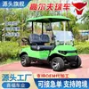 Carritos de Golf Personalizados, Transportes de Pasajeros para Aeropuertos, Vehículos de Patrulla para Campus, Carritos de Golf Eléctricos para Comercio Exterior