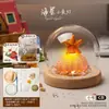 Luz de Noche de Gelatina de Concha de Erizo de Mar Natural Kit de Materiales Hechos a Mano para Bricolaje Adorno Decorativo Regalo para Niños y Novias