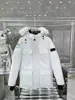 Parka de Expedição Jaqueta de Penas 2051m Jaqueta de Penas de Ganso 08 Parka Estilo Expedição