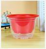 Preço de Atacado Vasos de Flores de Camada Dupla Absorventes de Água Rabanete Verde 180 Plantas em Vasos Plantas Verdes de Interior Absorvem Formaldeído, Purificam o Ar e São Ecológicos