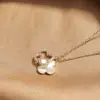 Collar de Trébol de Cuatro Hojas de la Suerte para Mujer Fritillaria Lujo Ligero Nicho Simple Versátil Elegante Cadena para Clavícula de Alta Gama Nuevo Estilo 2024