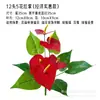 Flores Artificiales para Salas de Estar Interiores y Exteriores, Plantas Verdes Simuladas, de Pie, Gama Alta, Realistas, Combinaciones de Plantas de Escritorio de Lujo para Paisajismo
