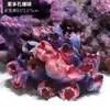 Galhos de Coral Árvore de Ferro do Mar Peixes Vermelhos Pretos Decoração de Aquário Paisagismo Ornamentos Subaquáticos
