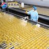 Equipos automáticos para la producción de ciruelas enlatadas, conjuntos completos de equipos para la línea de procesamiento de lichi enlatado