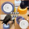 Comedero de Agua Flotante para Perros, Previene la Boca Mojada, Bebedero Flotante para Mascotas, Recipiente para Beber Antiderrames para Gatos