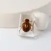 Especímenes Delgados de Insectos Reales, Adornos de Escritorio de Animales Reales, Escorpiones, Tortugas Doradas, Cigarras, Materiales Didácticos para Niños, Manualidades de Resina
