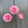 3 cabeças fragrância escura casamento flor artificial flor artificial aniversário crisântemo casamento decoração de estrada floral decoração suave decoração de casa arranjo de flores