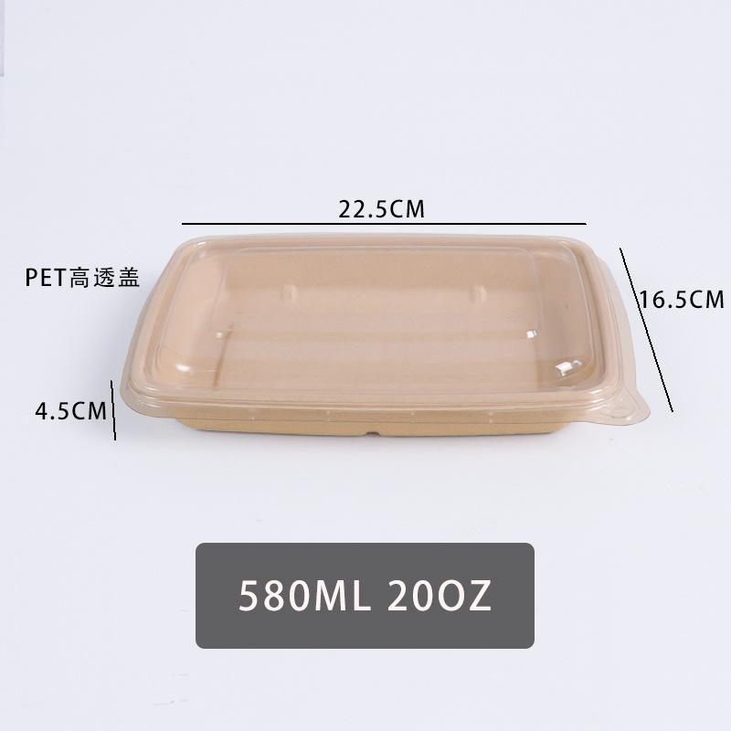 580HAOSHENG 20OZPET
