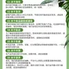Venta al por mayor transfronteriza de plantas verdes artificiales, olivos artificiales, plantas verdes en maceta, plantas verdes falsas, plantas artificiales y decoraciones de suelo para la sala de estar