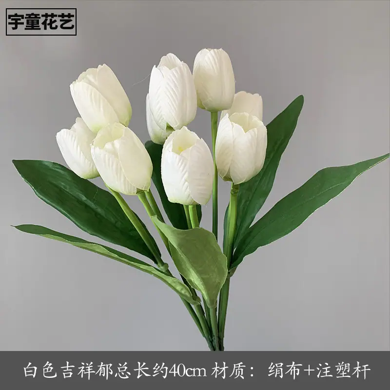 白色.jpg