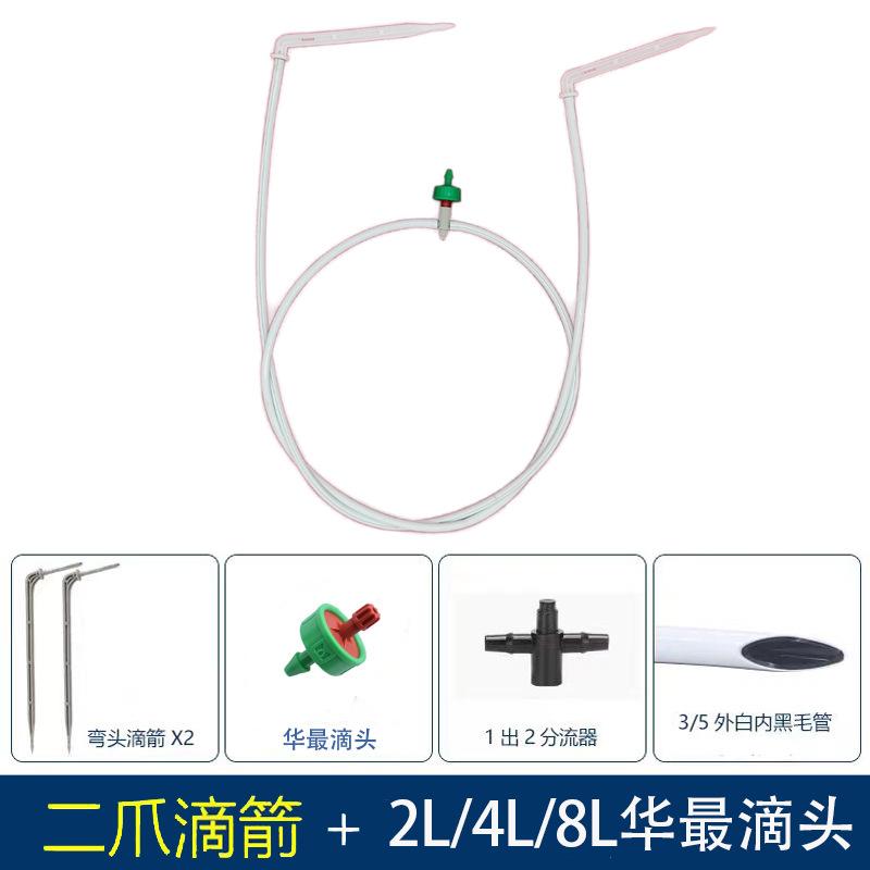 二爪华最.jpg