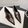 Zapatos Nuevos de Primavera y Otoño 2025 para Mujer, Estilo Europeo y Americano, Punta Fina, Tacón Bajo, Diseño Único con Velcro, para Viajes Diarios y Uso Profesional