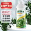 Solución Nutritiva Especial para Bambú Lingwo Fugui, Cultivo en Suelo para Enraizamiento, Cultivo Hidropónico, Tratamiento de Cultivo en Agua para Hojas Amarillas, Universal para Plantas de Bambú Guanyin