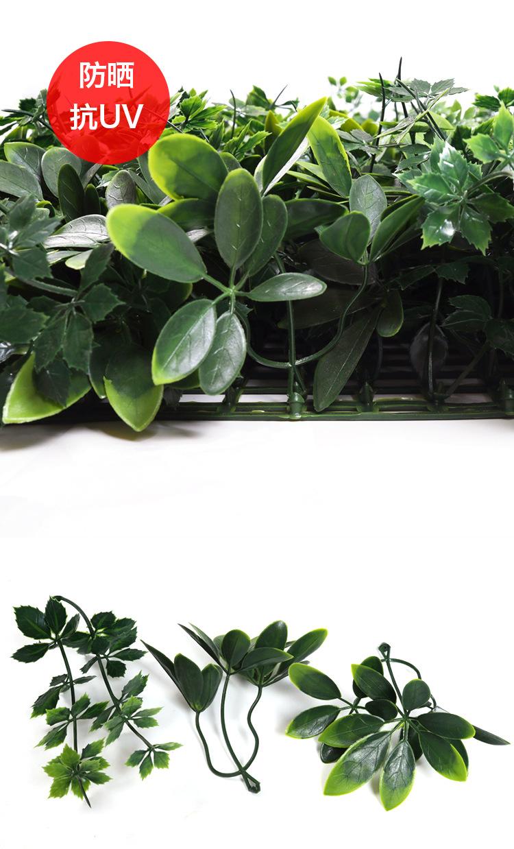 防晒植物墙_03