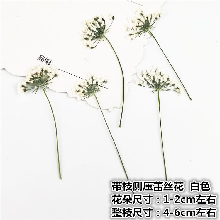 IMG20190221142520