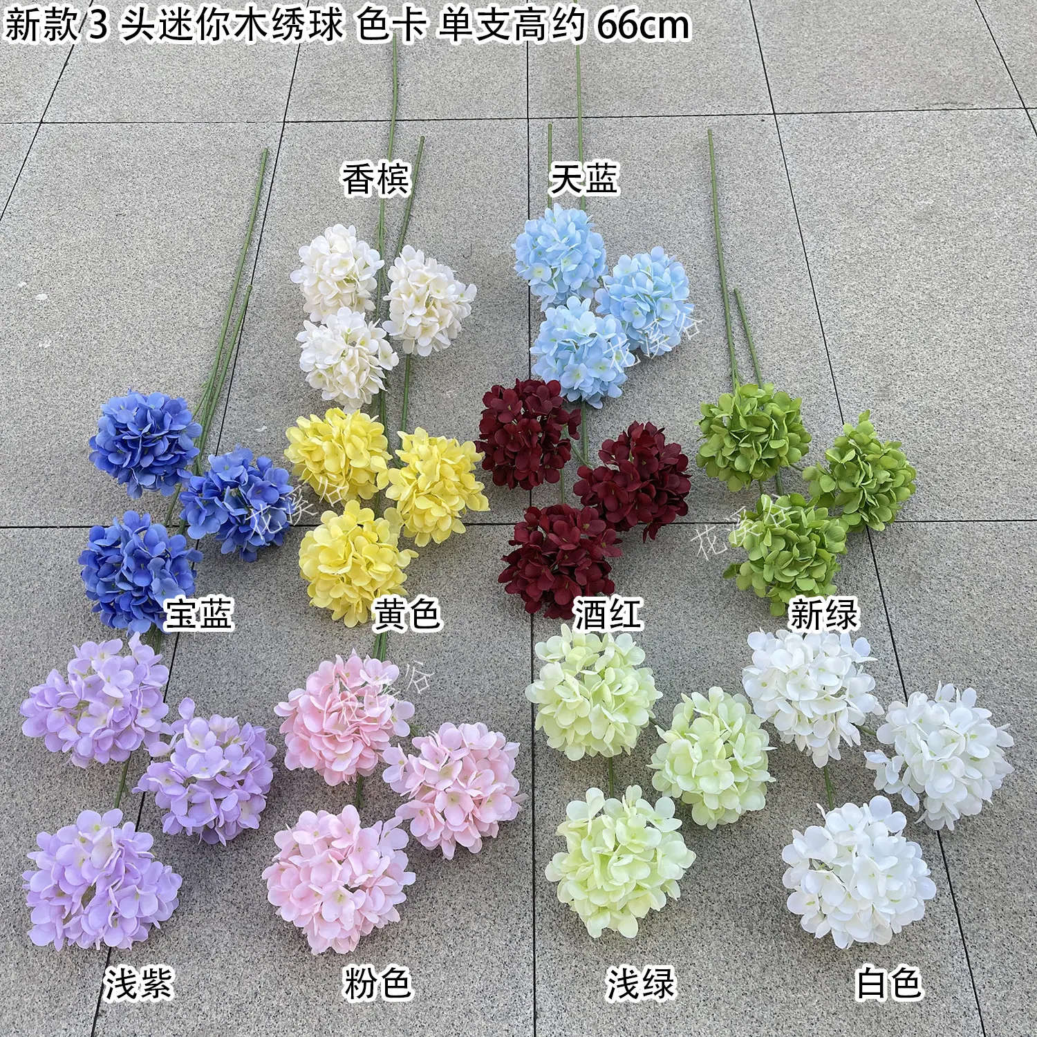 新款3头迷你木绣球 色卡 花溪谷.jpg