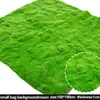 Pared de musgo artificial, decoración creativa de musgo, plantas artificiales frescas para interiores, plantas verdes falsas, fondo para escaparate