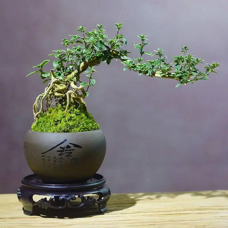 微信图片_20220927231653
