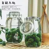 Jarra para Fermentar Vino de Ciruela Verde y Mirto del Fabricante, Jarra de Vidrio de Burbujas Estilo Ins, Recipiente Sellado para Fermentar con Tapa de Presión y Grifo, Boca Ancha