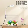 Acuario de Escritorio, Pecera de Plástico Transparente de Alta Transparencia, Caja para Peces Betta, Adorno de Paisajismo DIY, Tanque Ecológico Creativo