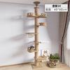 Columna Tongtian Marco de Escalada para Gatos Nido para Gatos Integrado Superior Marco de Madera Maciza No Ocupa Espacio Juguete para Gatos para Apartamentos Pequeños Plataforma de Salto para Gatos