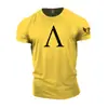 Tótem Espartano Impreso en 3D Transfronterizo Europeo y Americano Nuevo Camiseta Casual de Manga Corta para Hombre Venta Directa del Fabricante Fuente