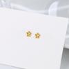 Wanying Jewelry Brincos de flores pequenas S925 Prata esterlina Moda Mini joias de flores fofas Brincos de nicho personalizados Presente