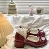 Populares zapatos retro franceses de tacón grueso para mujer, nuevos de otoño 2026, versátiles, con lazo y cordones, Mary Janes, zapatos pequeños de cuero para mujer